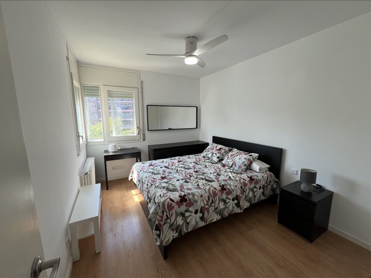 Bedroom with ceiling fan, desk and a window onto the trees